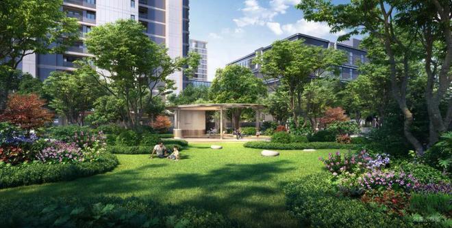 屎币最新价格(屎币最新价格走势图美元)