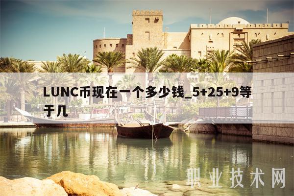 LUNC币(lunc币最新消息)
