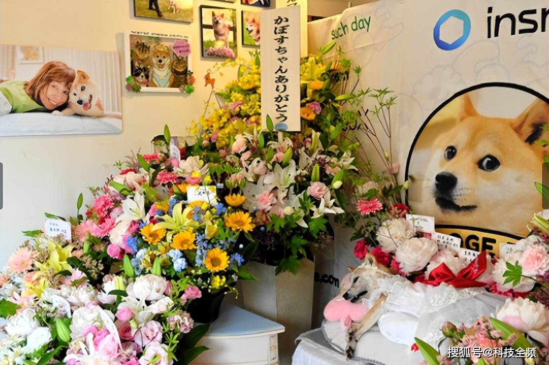 火狗币行情(以太坊币行情走势图)