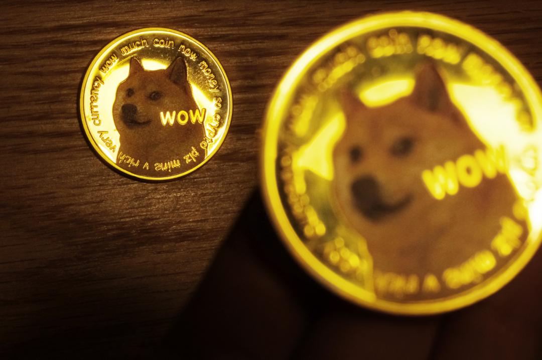 狗币(狗币最新消息)