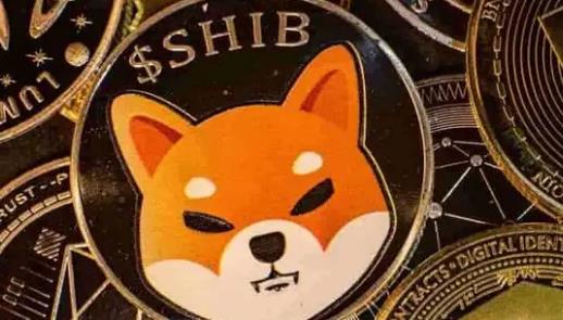 狗屎币(狗屎币价格)