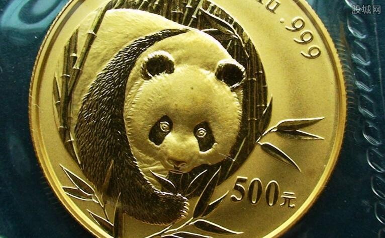 猫币(猫鼻支是什么症状)